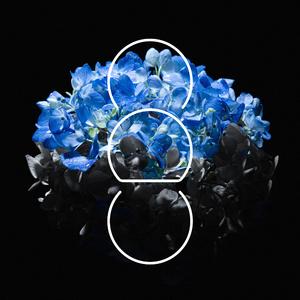 美女巨乳 成人视频
