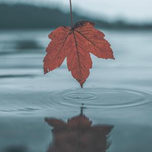 美女巨乳 成人视频
