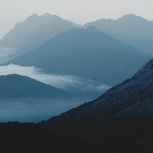 美女巨乳 成人视频
