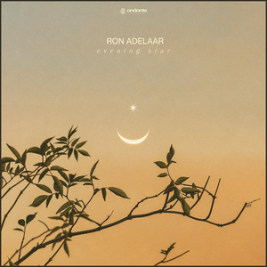 美女巨乳 成人视频
